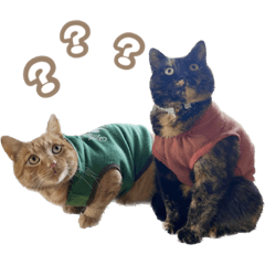 どらやき＆きなこ