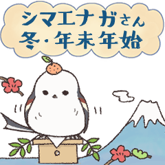 ＊可愛いシマエナガさんの冬・年末年始＊