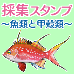 採集スタンプ ～魚類と甲殻類～