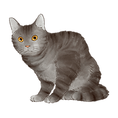 猫のイラストスタンプ（リアル）