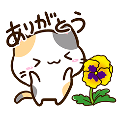 小さい三毛猫【春】