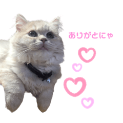 ミルキーの気まぐれの日常で使えるスタンプ