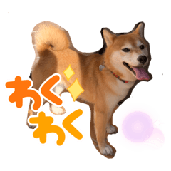 愛犬はるさんのスタンプ