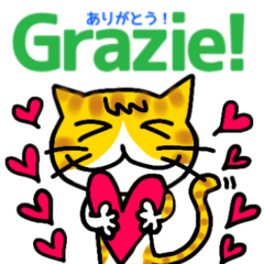 猫とイタリア語 1