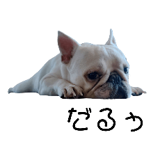 夢ちんスタンプ