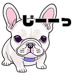 フレンチブルドック 白 日常会話てんこ盛り