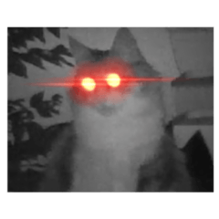 漫画風みみちゃん詰め合わせセット