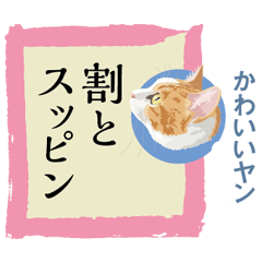 猫遊び♪パロディーことわざ集