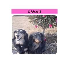 くう、陸、るる