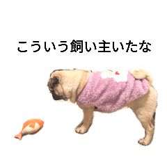 こういう飼い主いたな