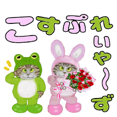 こすぷれいやーず【カラフル猫編】