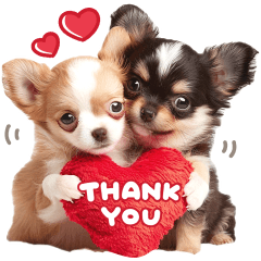 大人可愛い♡チワワ