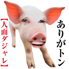 ダサかわ（だじゃれ番外編）