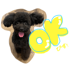 犬の使いやすいスタンプ（レイちゃん）