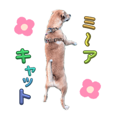 使えないであろう文太スタンプ