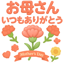 ぷっくりかわいい♥母の日＆父の日&誕生日