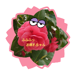 お花の感情スタンプ