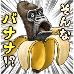 ゴリラ・ゴリラ６