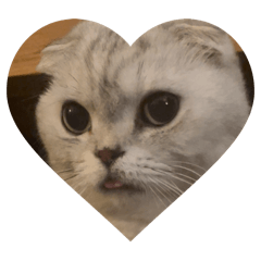 まめちゃんスタンプvol.1