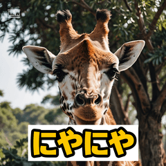 きりんさん、感情全開！