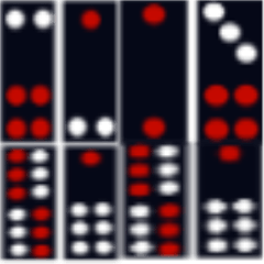 The size of Tianjiu brand black grain