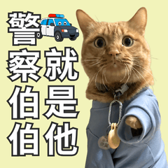 可愛すぎる！オリ猫一家