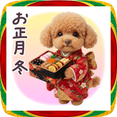 毎年使える トイプードル 冬 お正月 年賀状