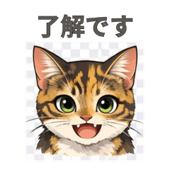 シンプル＆丁寧ねこスタンプ【背景改良版】