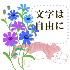 文字は自由に_花と猫