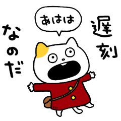 のんびりねこの１日