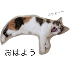 もちもち もちこスタンプ