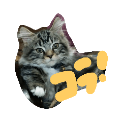 たぬ ( かかVer. )