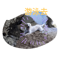 Lydia_20190521165615