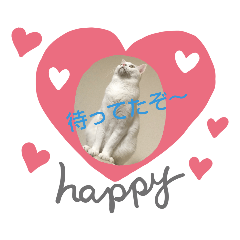 ねこちゃんのスタンプです。