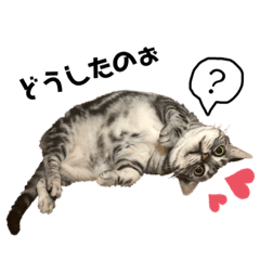 メリちゃんスタンプ♡