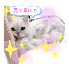 ジュリベリー♡