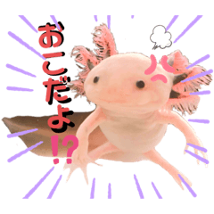 ぷよまるスタンプ