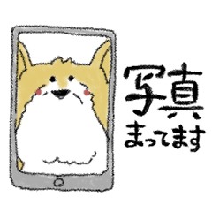 おしゃべりなくるみ。