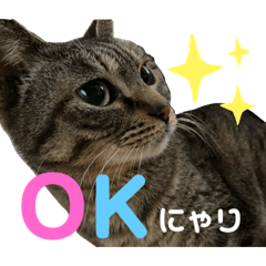 ももすたんぷだよ