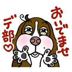 ゆる犬ダイエット