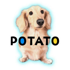 超甘えん坊のカニンヘンダックスポテの日常