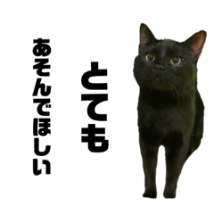 我が家のアル王子