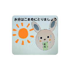 ネガティブ　プリン