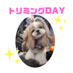 beautyチャロのスタンプ