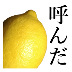 こんな、レモン どうでしょう?