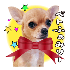 ぺとふぁみりースタンプ