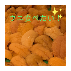 美味しいもの食べたい！