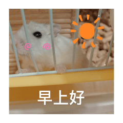 White_20210219105649