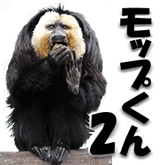 シロガオサキのモップくん2 JMC5