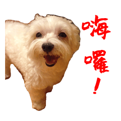 最もいたずらピッピ